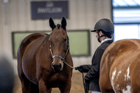 OSB_FallShow-0061