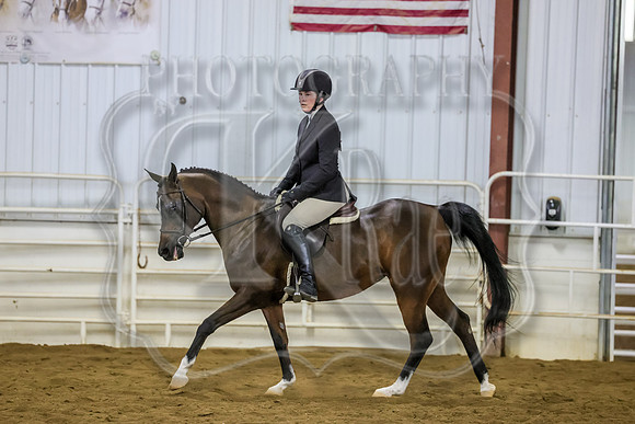SASS-0617