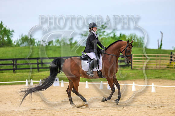 SASS-3648