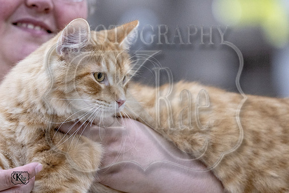 CFA_WLMGTN-0228
