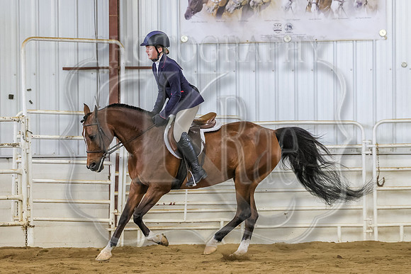 SASS-3583