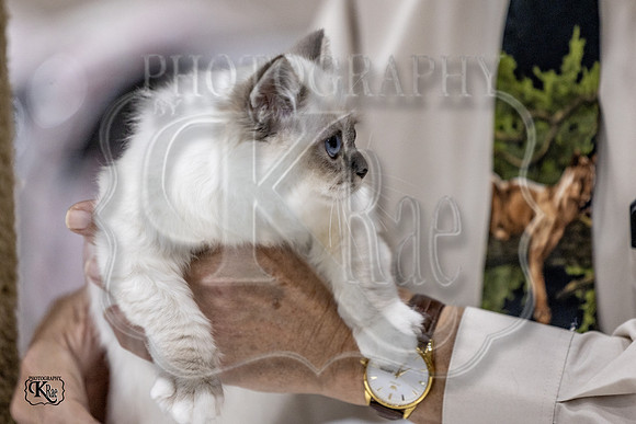CFA_WLMGTN-0177