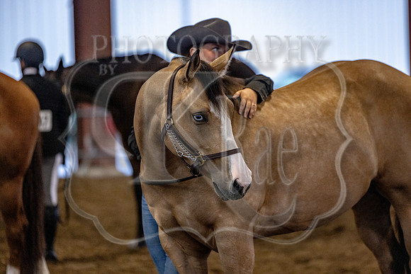 OSB_FallShow-0101