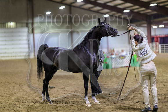 SASS-7091