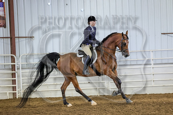 SASS-3526