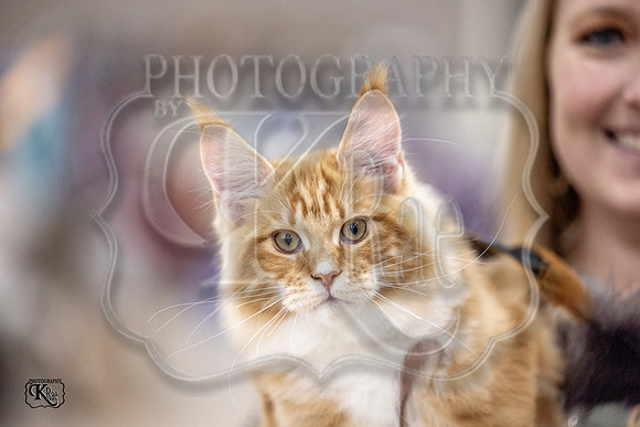 CFA_WLMGTN-0193