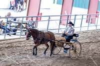 OSB_FallShow-0806