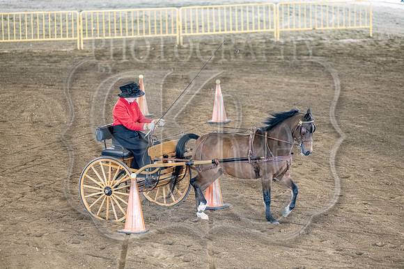 OSB_FallShow-0617