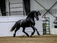 sssFri-2732