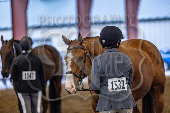 OSB_FallShow-0112