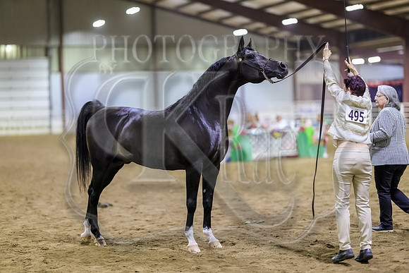 SASS-7086