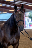 OSB_FallShow-0175