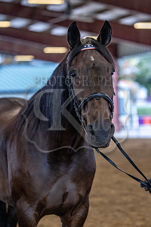 OSB_FallShow-0175