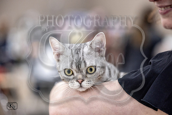 CFA_WLMGTN-0308