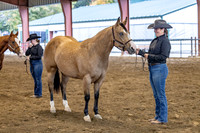 OSB_FallShow-2278