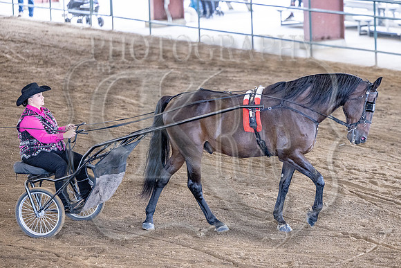 OSB_FallShow-0847