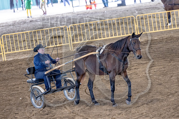 OSB_FallShow-0857