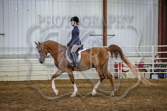 SASS-4133