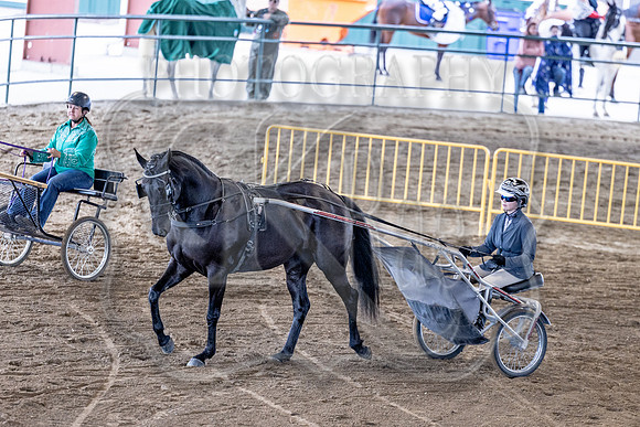 OSB_FallShow-0831