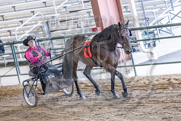 OSB_FallShow-0480