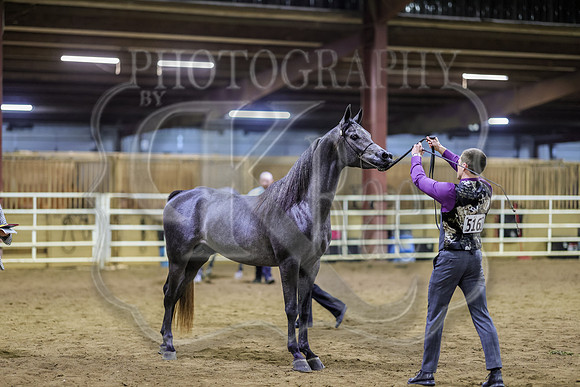 SASS-7197
