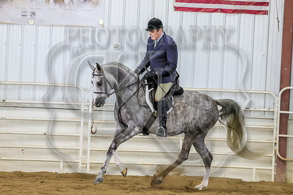 SASS-3560