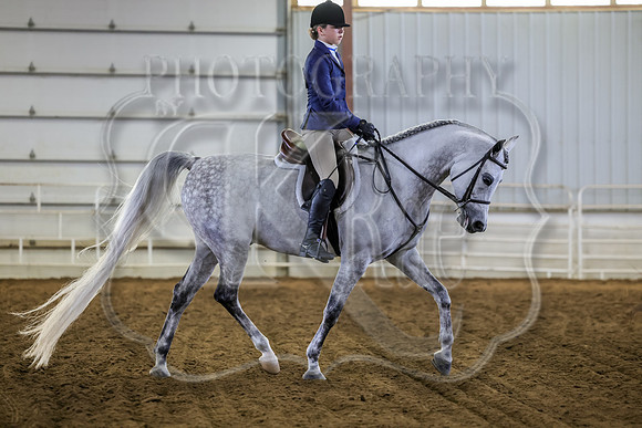 SASS-2076