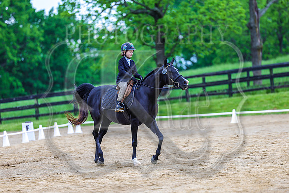 SASS-4393