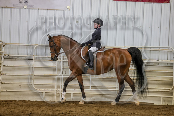 SASS-4028