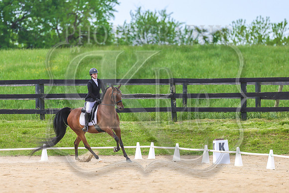 SASS-3590