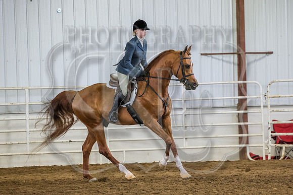 SASS-3545
