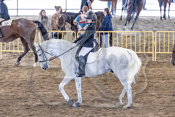 OSB_FallShow-3616