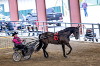 OSB_FallShow-0468
