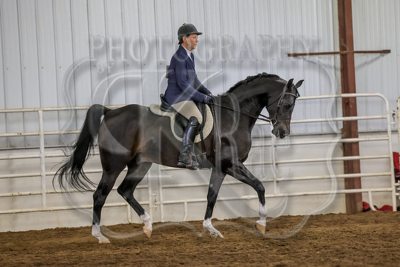 SASS-3709