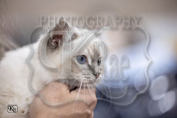 CFA_WLMGTN-0274