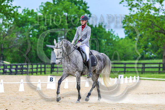 SASS-2317