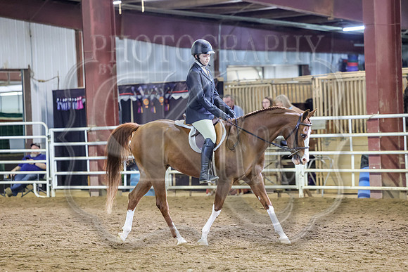 SASS-0808