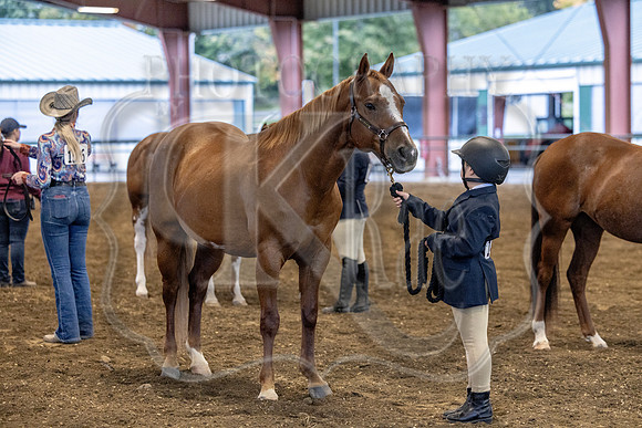 OSB_FallShow-0053