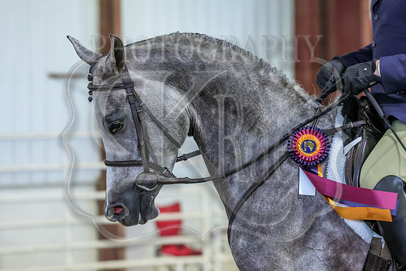 SASS-3722