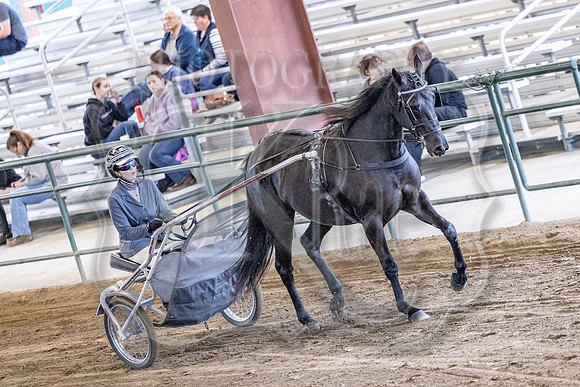 OSB_FallShow-0519