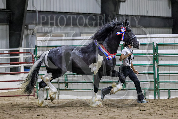 bpk-0947