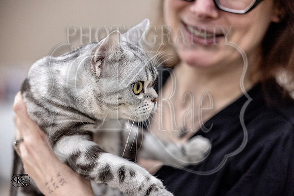 CFA_WLMGTN-0304
