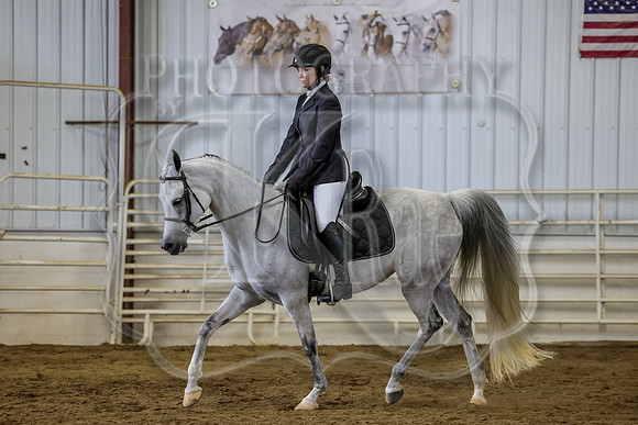 SASS-6015