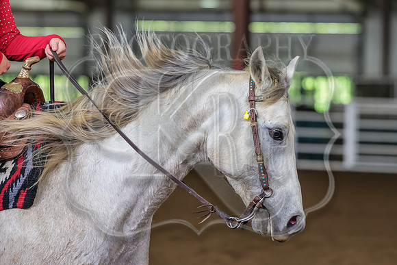 SASS-7298