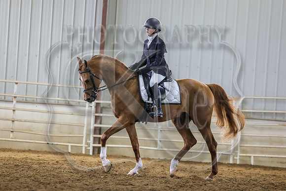 SASS-2205