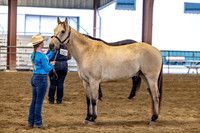 OSB_FallShow-2302
