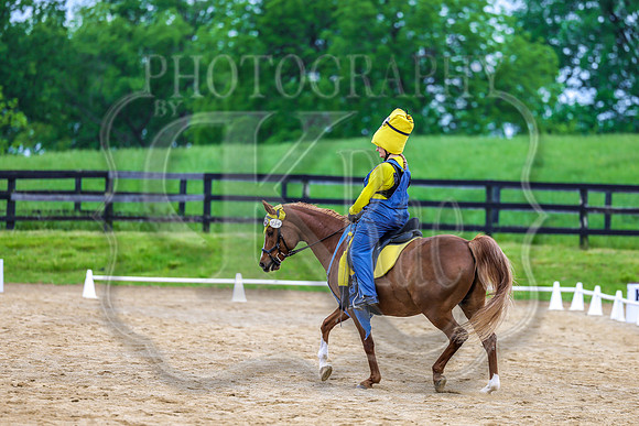 SASS-4553