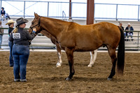 OSB_FallShow-0127