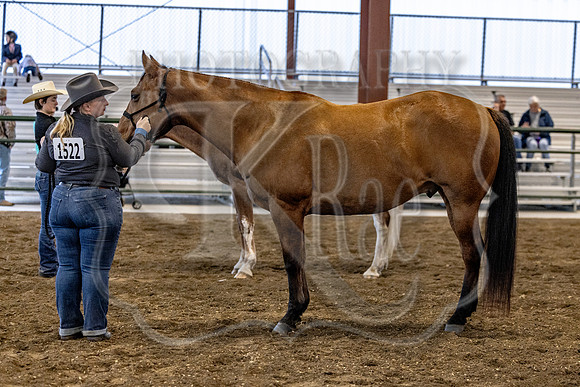 OSB_FallShow-0127