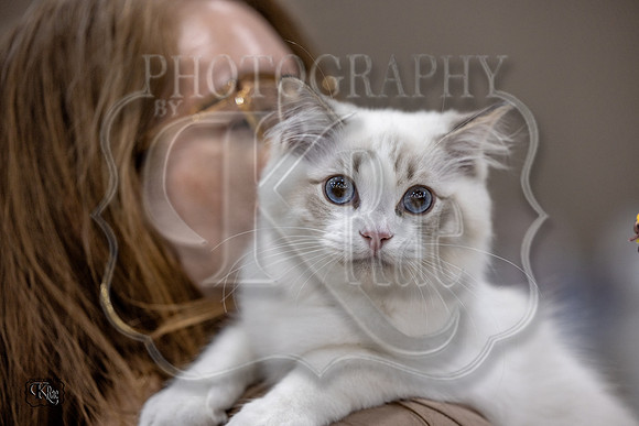 CFA_WLMGTN-0104